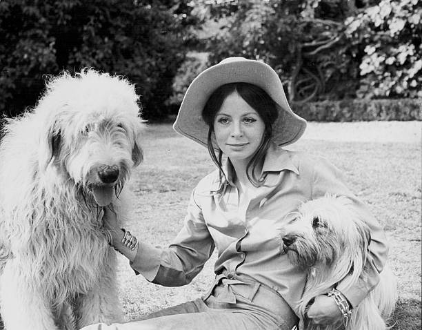 Sarah Miles Sarah Miles