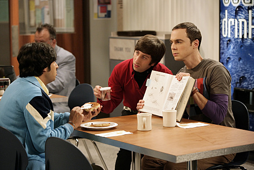 The Big Bang Theory