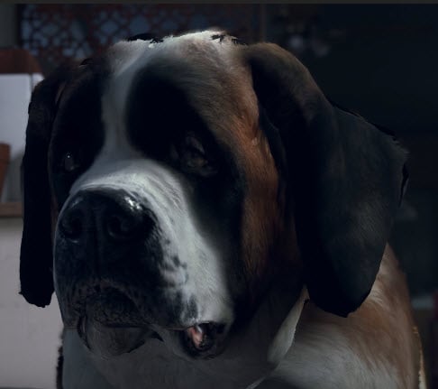 Sumo (Detroit: Become Human)