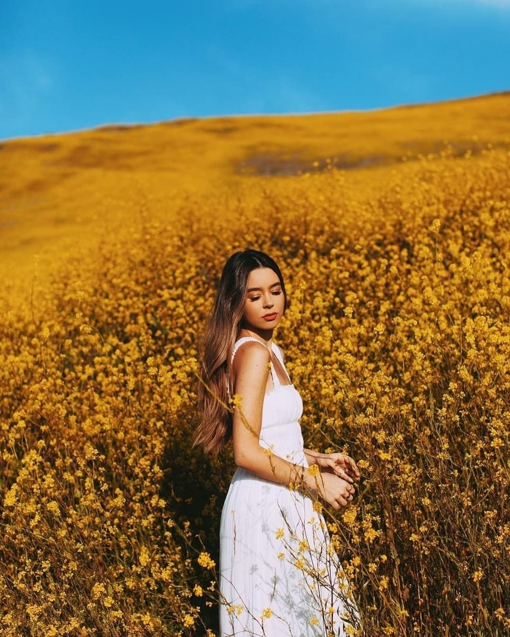 Sierra Furtado