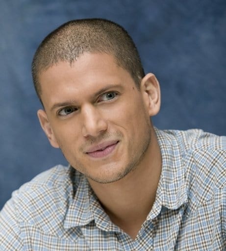 Picture of Wentworth Miller