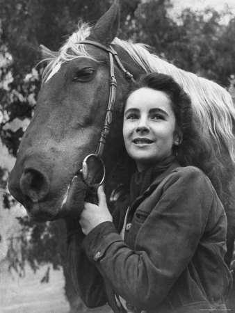 National Velvet National Velvet