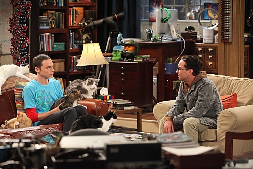 The Big Bang Theory