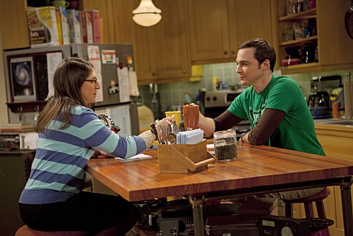 The Big Bang Theory