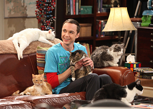 The Big Bang Theory