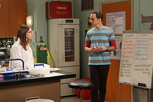 The Big Bang Theory