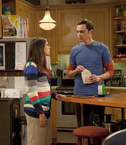 The Big Bang Theory