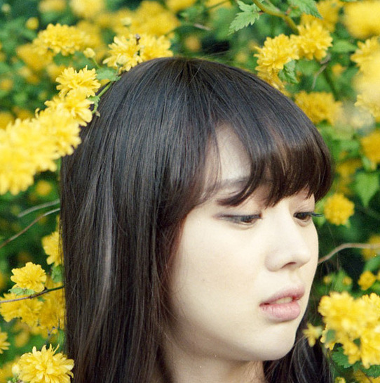 Park Seul