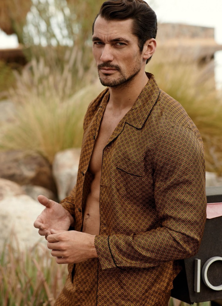David Gandy