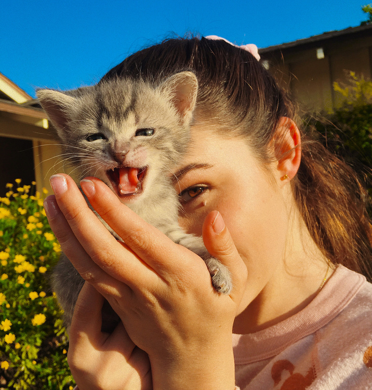 Madison Mclaughlin