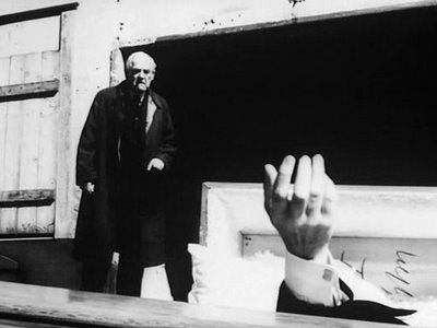 Wild Strawberries Wild Strawberries