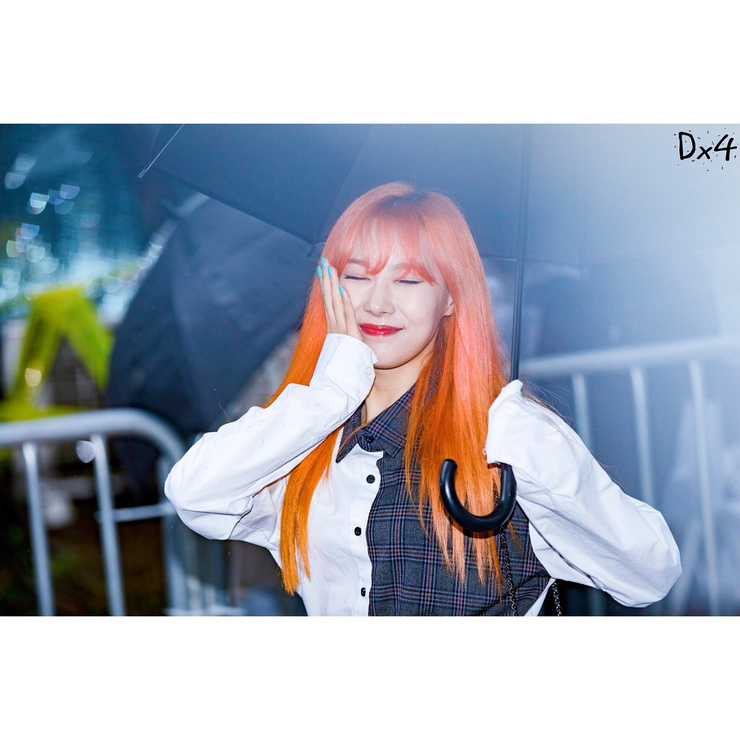 Han Dong Han Dong