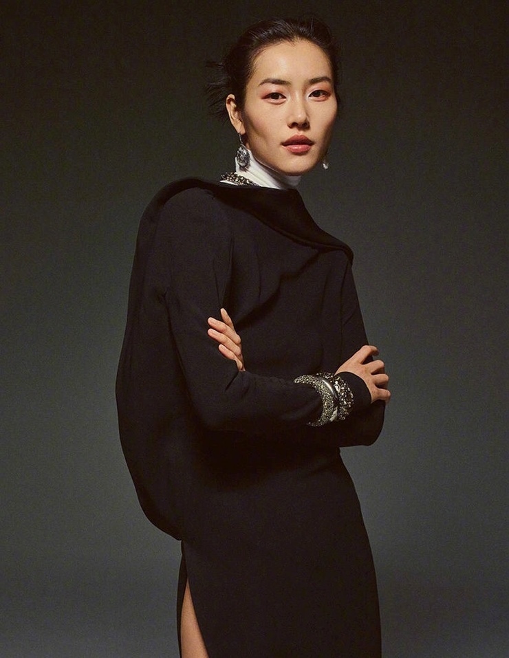 Liu Wen