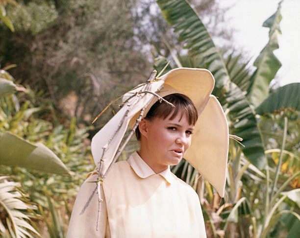 The Flying Nun