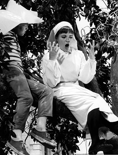 The Flying Nun