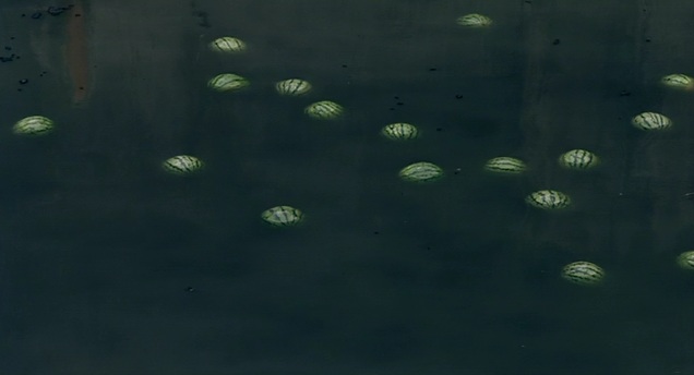 The Wayward Cloud (2005)