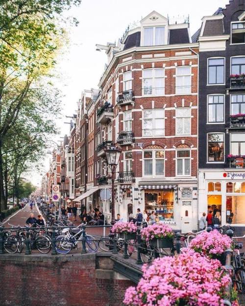 Netherlands Netherlands