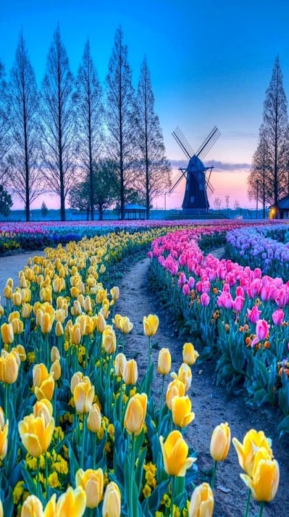 Netherlands