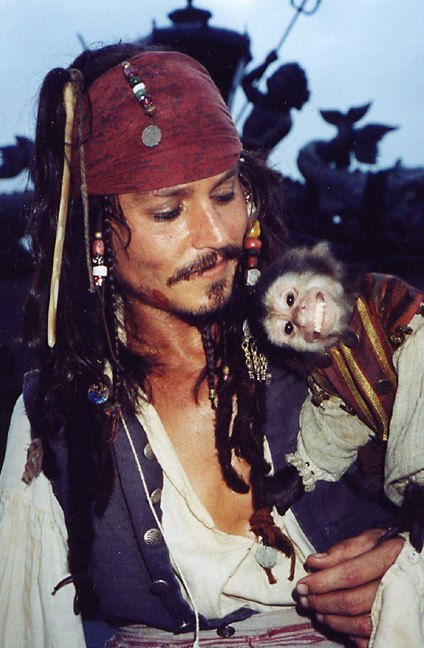 Captain Jack Sparrow