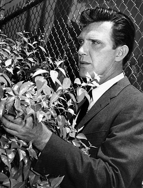 Robert Lansing