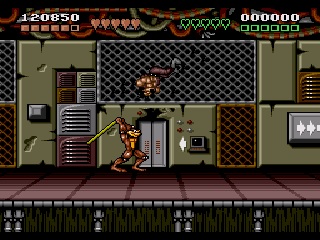 Battletoads & Double Dragon: The Ultimate Team