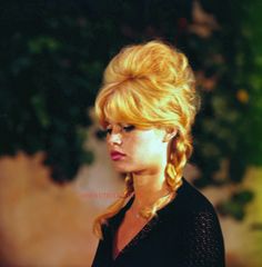 Brigitte Bardot Brigitte Bardot