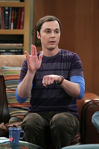 The Big Bang Theory