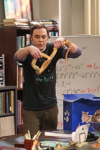 The Big Bang Theory