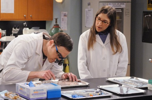 The Big Bang Theory