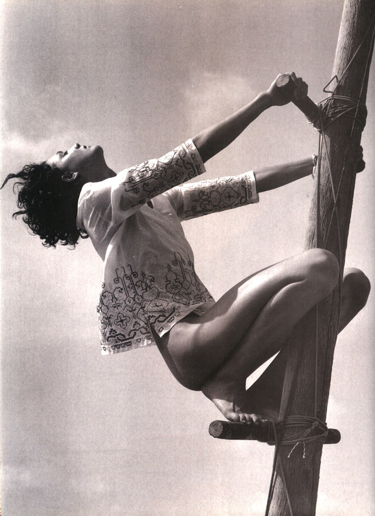 Christele Cervelle