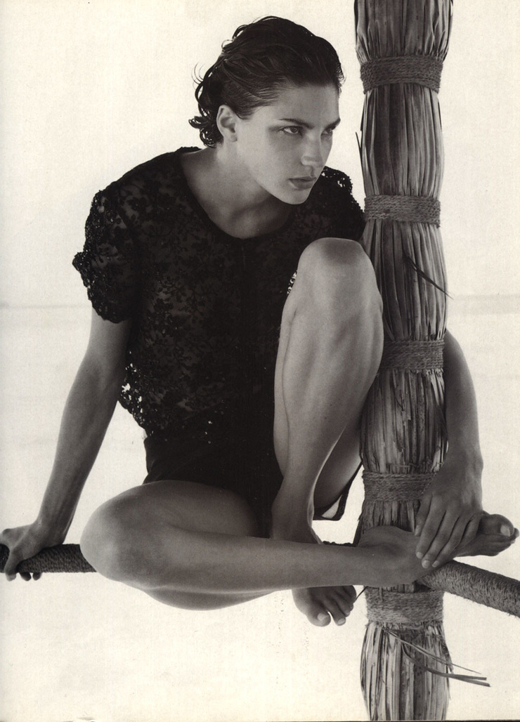 Christele Cervelle