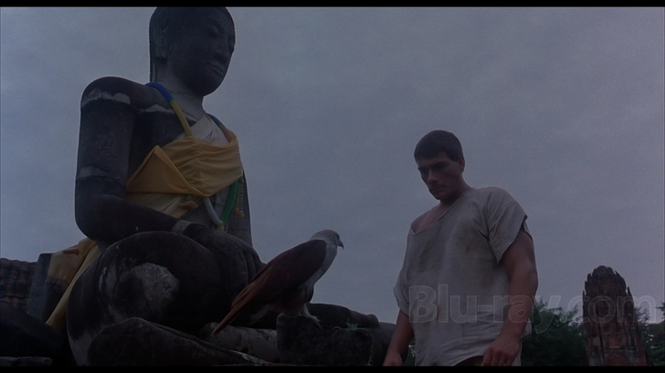 Kickboxer