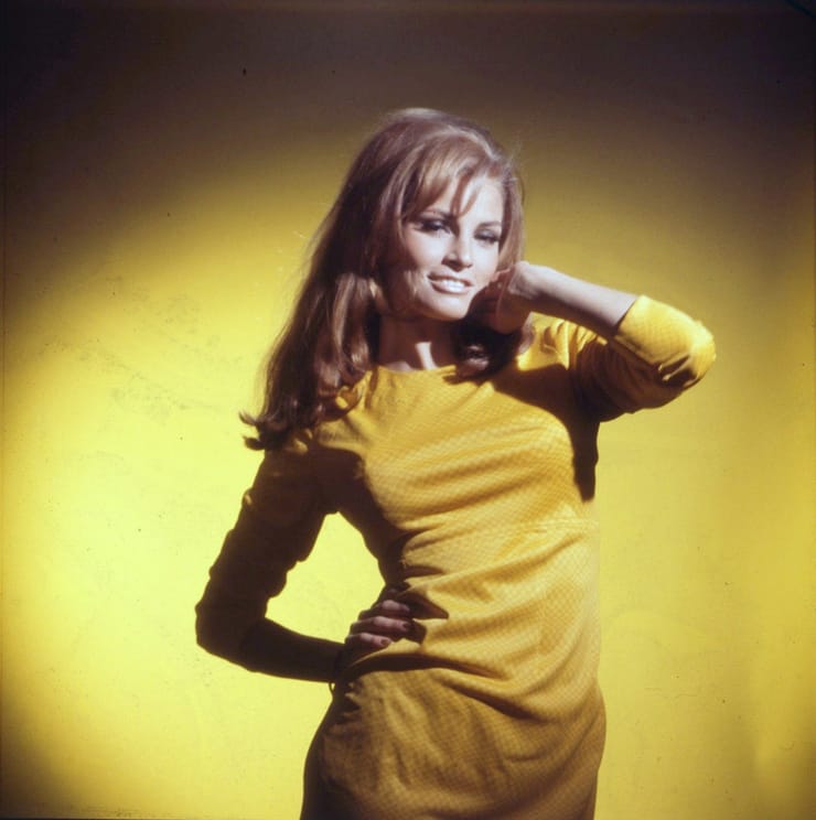 Raquel Welch Raquel Welch