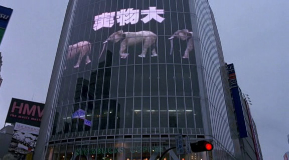 Lost in Translation