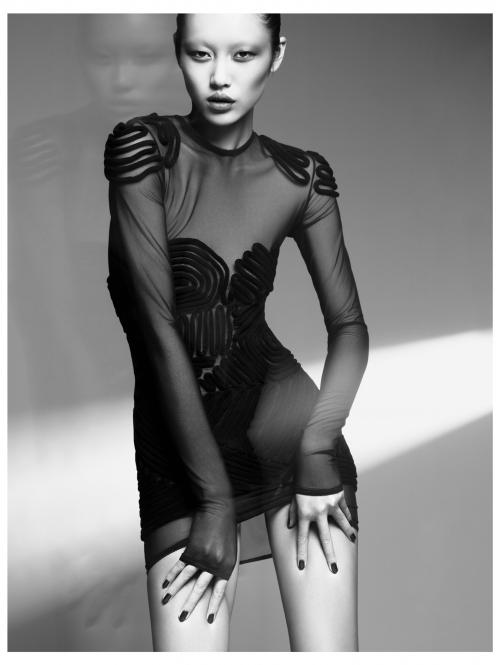 Wen Liu