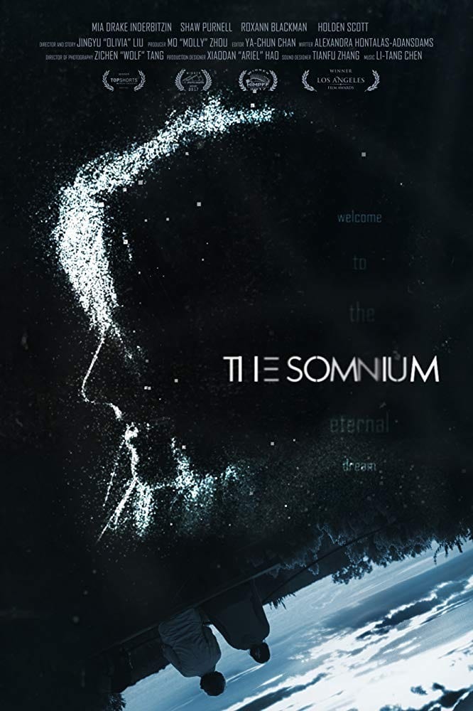 The Somnium
