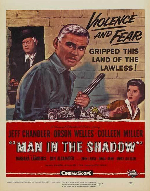 Man in the Shadow