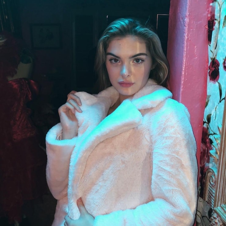 Brighton Sharbino