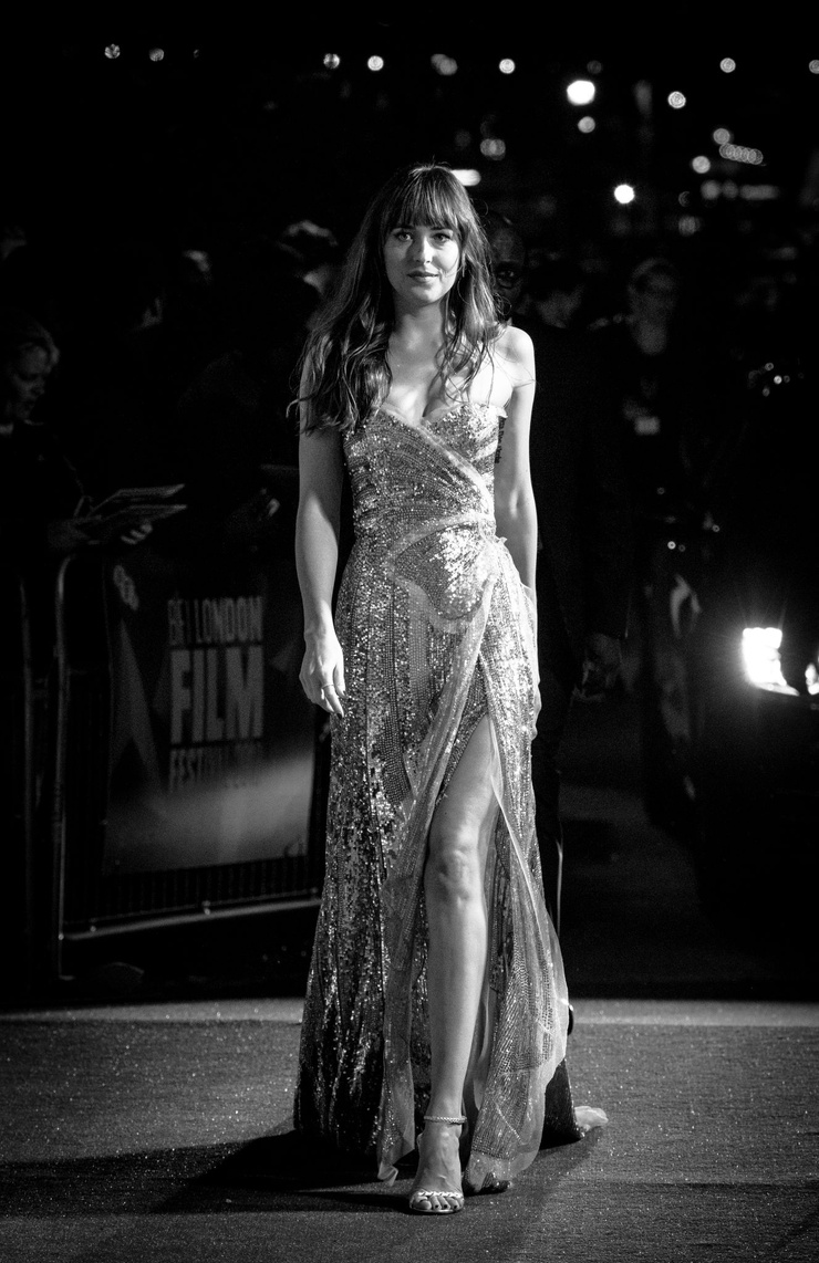 Dakota Johnson Dakota Johnson