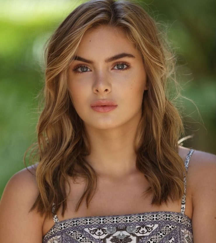 Brighton Sharbino