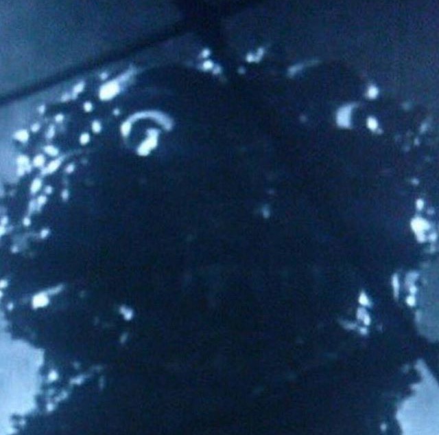 Godzilla