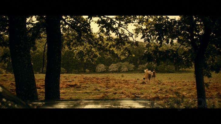 Leatherface