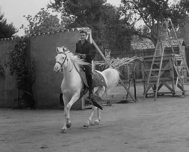 Guy Williams