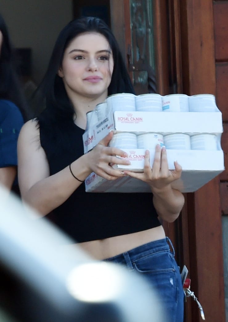 Picture of Ariel Winter