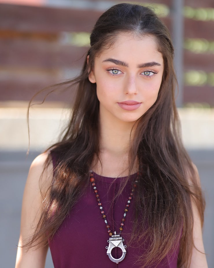 Noa Cohen Noa Cohen