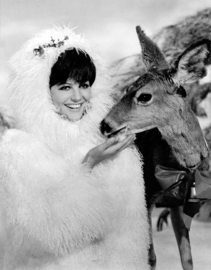 Claudia Cardinale Claudia Cardinale