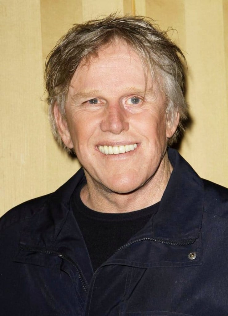 Gary Busey