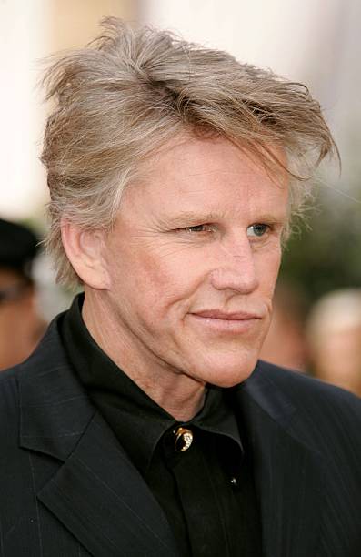 Gary Busey