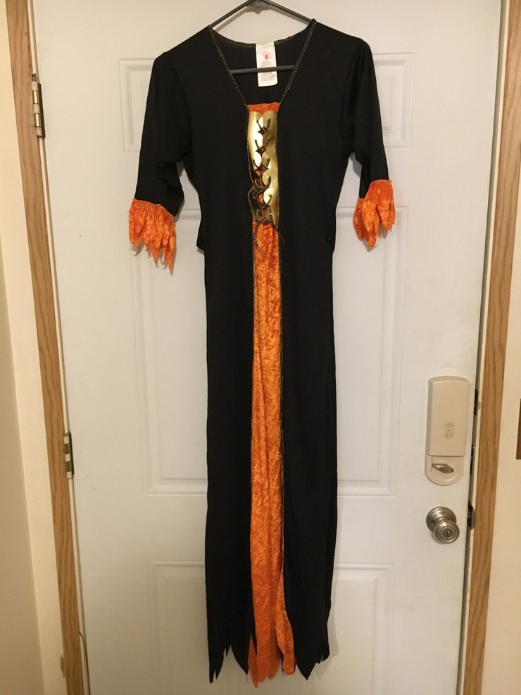 Adult Gothic Witch Standard Size Halloween Costume