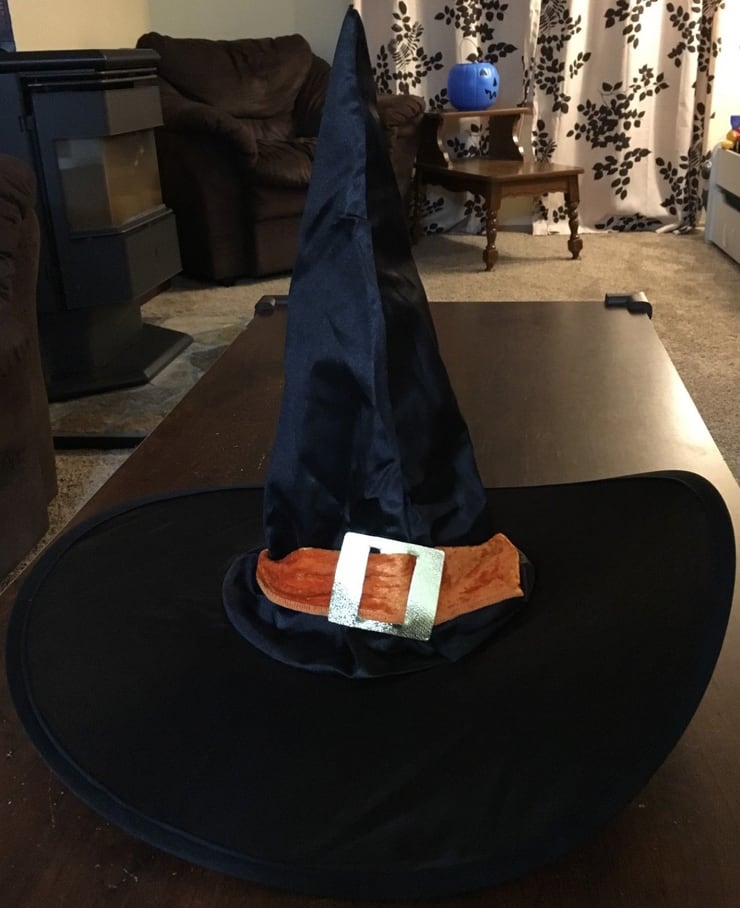 Adult Gothic Witch Standard Size Halloween Costume